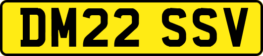 DM22SSV