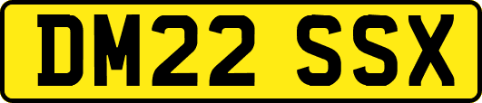 DM22SSX