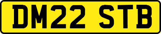 DM22STB