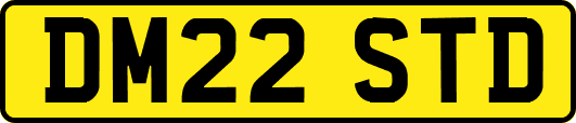 DM22STD
