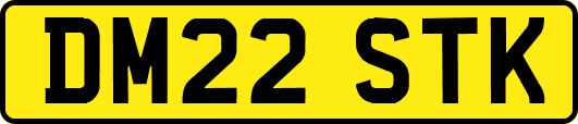 DM22STK