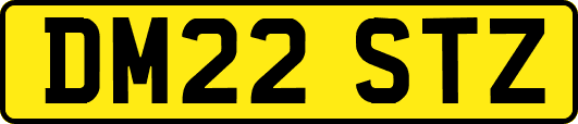 DM22STZ