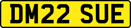DM22SUE