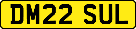 DM22SUL
