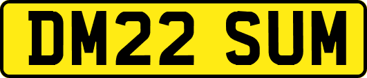 DM22SUM