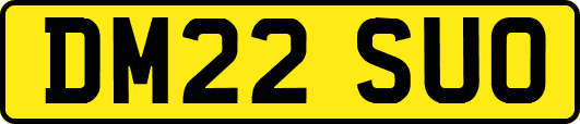 DM22SUO