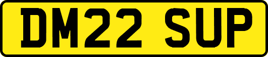 DM22SUP