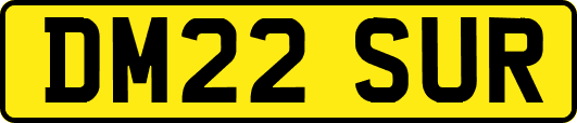 DM22SUR