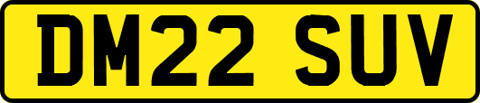 DM22SUV