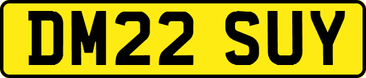 DM22SUY