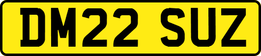 DM22SUZ