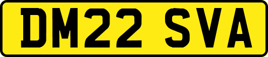 DM22SVA