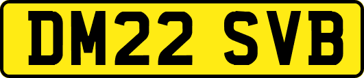 DM22SVB
