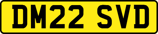 DM22SVD