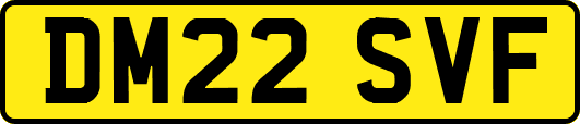 DM22SVF