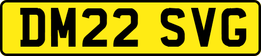 DM22SVG