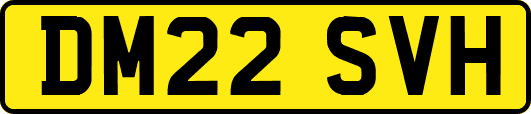DM22SVH