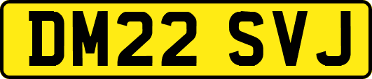 DM22SVJ