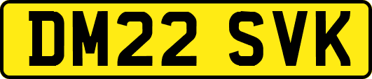 DM22SVK