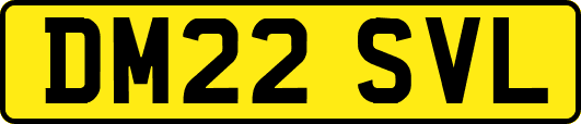DM22SVL