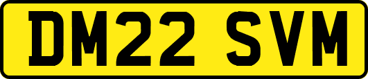 DM22SVM