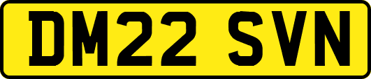 DM22SVN