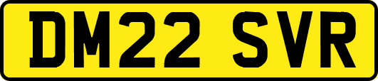 DM22SVR