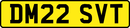 DM22SVT