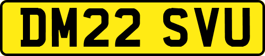 DM22SVU