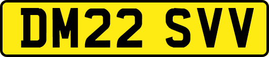 DM22SVV