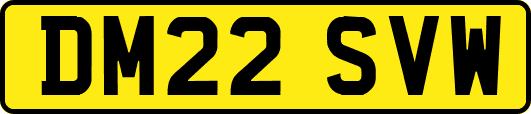 DM22SVW