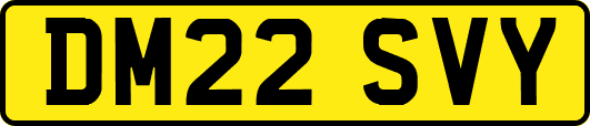 DM22SVY