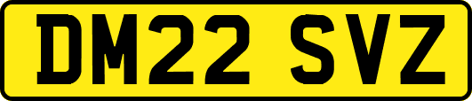 DM22SVZ