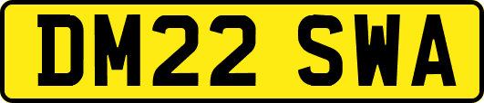 DM22SWA