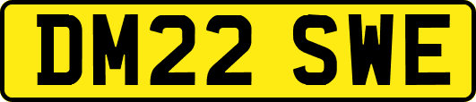 DM22SWE