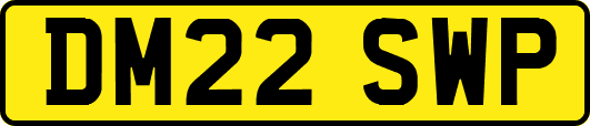 DM22SWP
