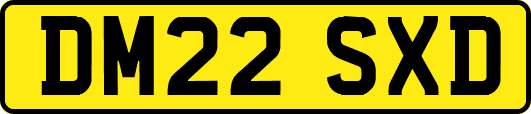 DM22SXD
