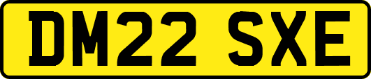 DM22SXE