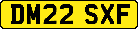 DM22SXF