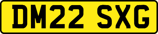 DM22SXG