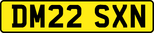 DM22SXN