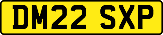 DM22SXP