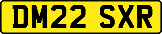 DM22SXR