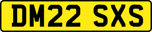 DM22SXS