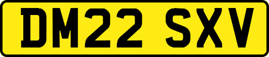 DM22SXV