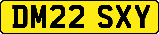 DM22SXY