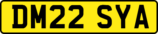 DM22SYA