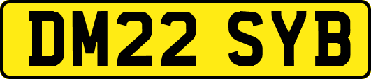 DM22SYB