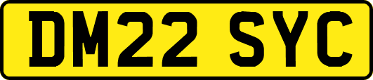 DM22SYC