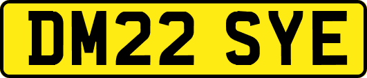 DM22SYE